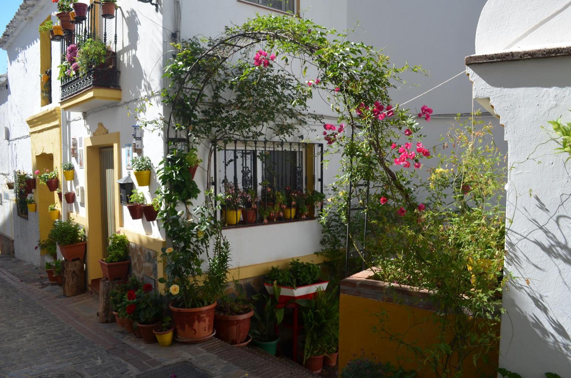Finca El Molino De Aceite Jubrique Exterior photo